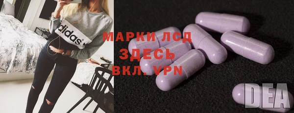 PSILOCYBIN Алзамай