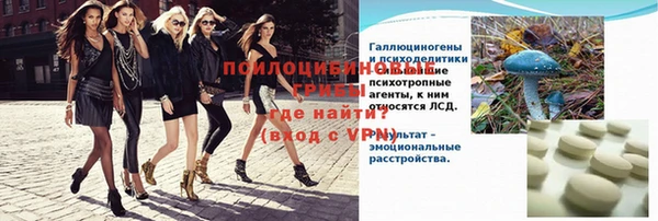 PSILOCYBIN Алзамай