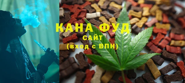 PSILOCYBIN Алзамай