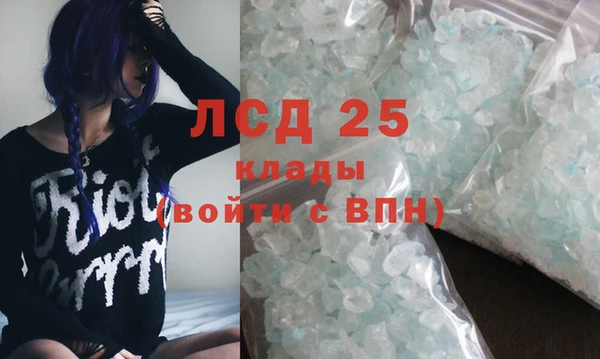 PSILOCYBIN Алзамай